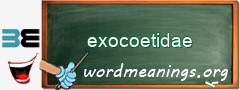 WordMeaning blackboard for exocoetidae